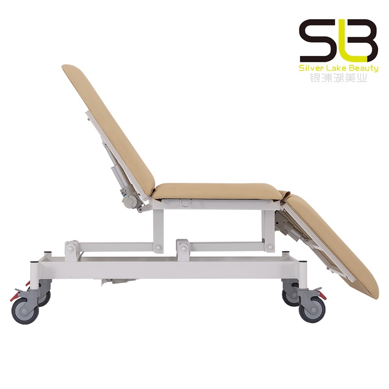 Electric Physiotherapy Bed