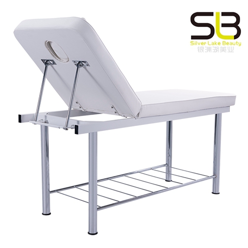 Professional Portable Lightweight Bi-Fold Massage Table