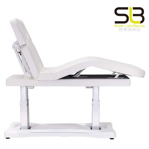 Professional Foldable Massage Bed 2 Fold for Salon