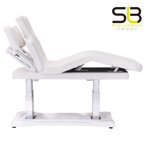 Professional Foldable Massage Bed 2 Fold for Salon