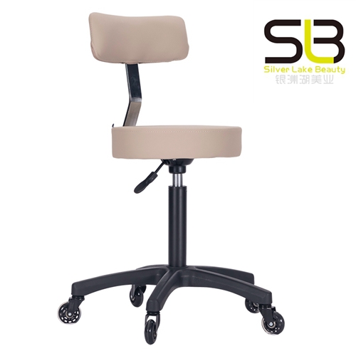 Adjustable Rolling Hydraulic Salon Stool with Backrest