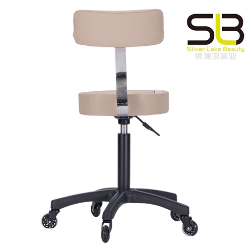 Adjustable Rolling Hydraulic Salon Stool with Backrest