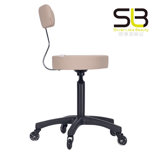 Adjustable Rolling Hydraulic Salon Stool with Backrest