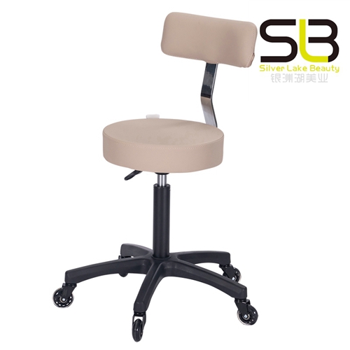 Adjustable Rolling Hydraulic Salon Stool with Backrest