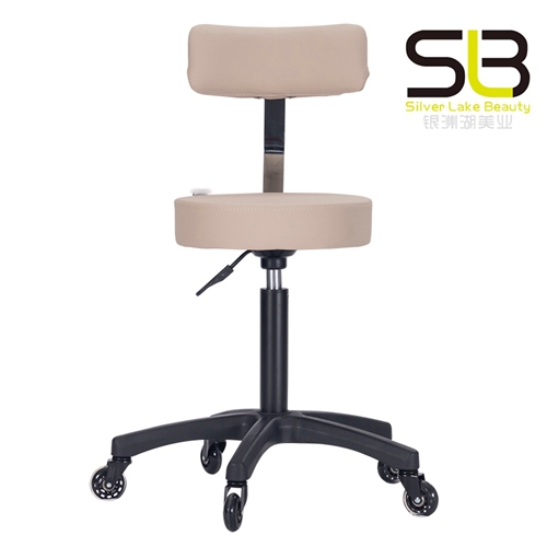 Adjustable Rolling Hydraulic Salon Stool with Backrest