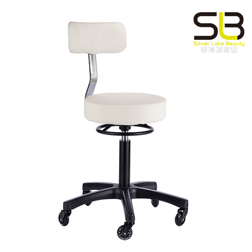 Styled Salon Stool with Backrest and Stabilizing Base