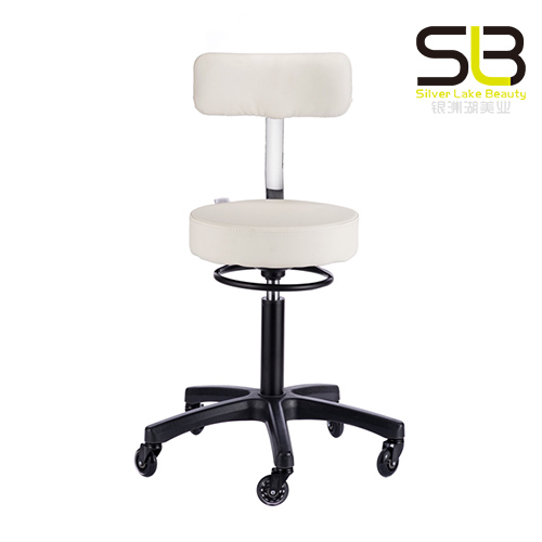 Styled Salon Stool with Backrest and Stabilizing Base