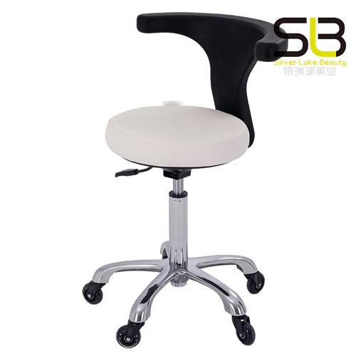 Makeup Bar Stool Hair Stylist Beauty Salon Chair with Back