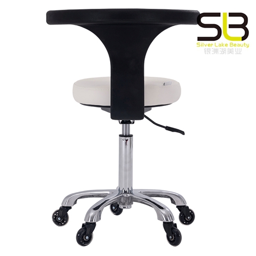 Makeup Bar Stool Hair Stylist Beauty Salon Chair with Back