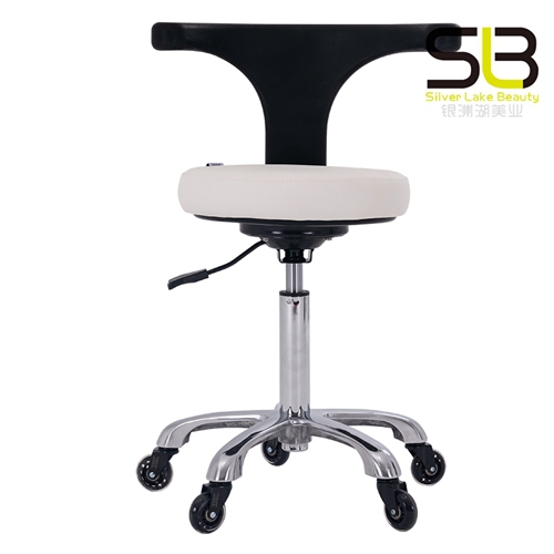 Makeup Bar Stool Hair Stylist Beauty Salon Chair with Back