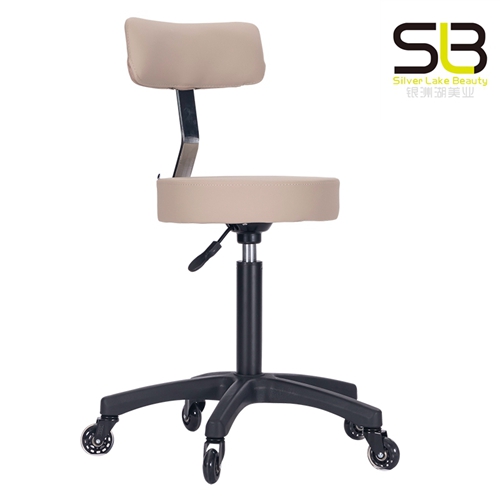 Adjustable Rolling Hydraulic Stool with Backrest