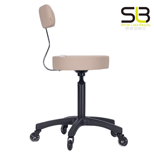 Adjustable Rolling Hydraulic Stool with Backrest