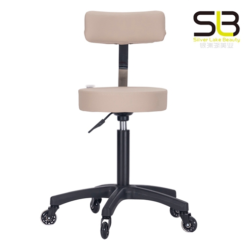 Adjustable Rolling Hydraulic Stool with Backrest