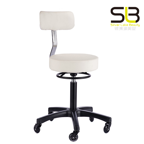 Styled Medical Clinic Stool with Backrest and Stabilizing Base