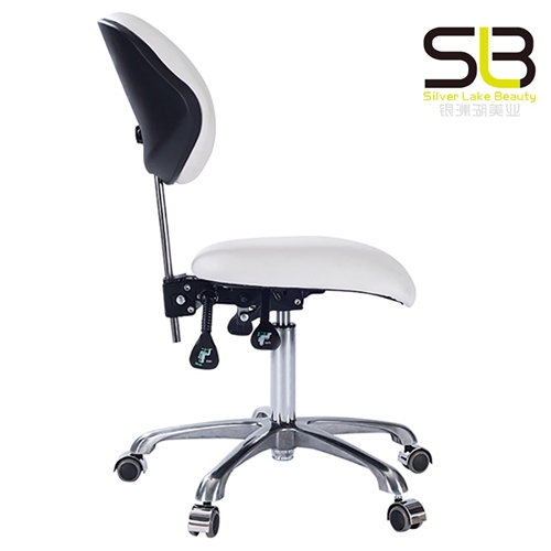 Hydraulic Chair Adjustable Stool with Back