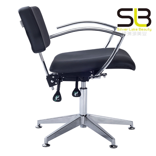 Salon Styling Chair with Five Claw Sturdy Base