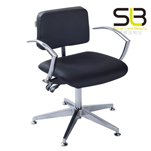 Salon Styling Chair with Five Claw Sturdy Base