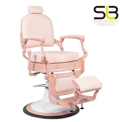 Classic Pink Fantasy Hydraulic Barber Chair Beauty Salon Furniture