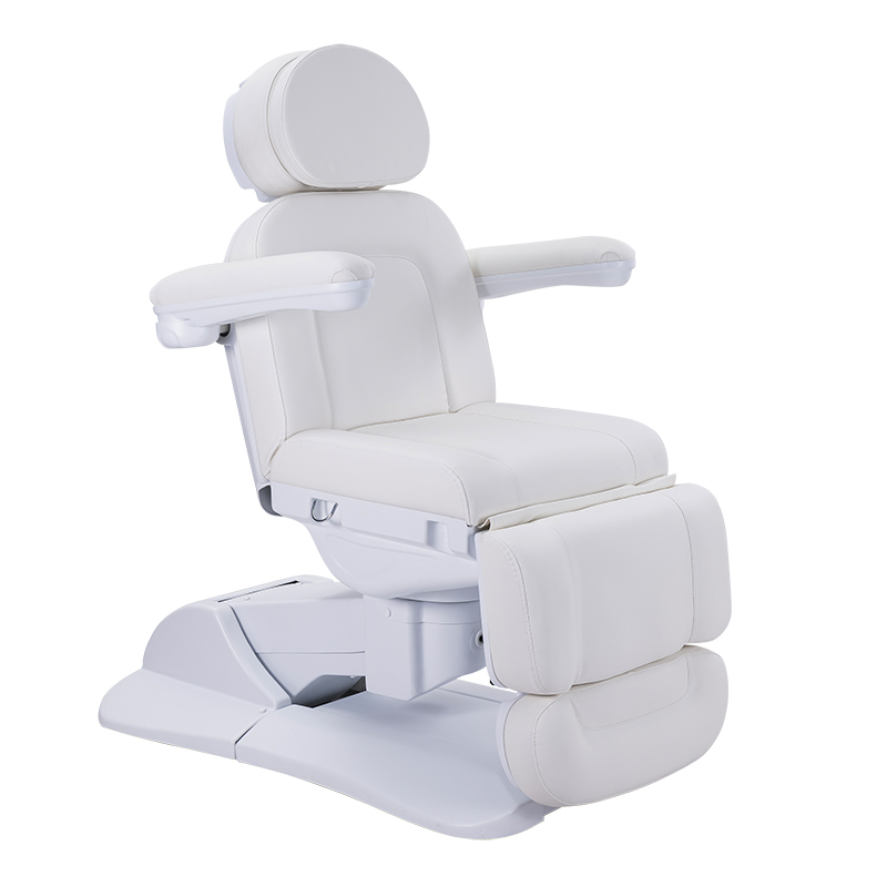 Professional 3 Fold Facial Chair